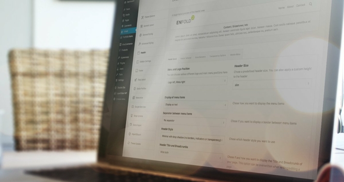 Powerful Theme Options